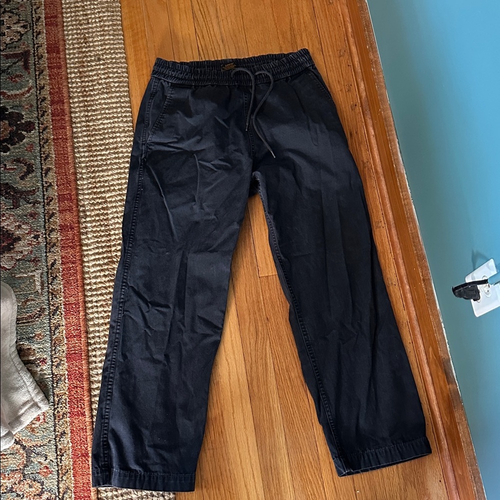Levi's Skateboarding Collection Ripstop pants